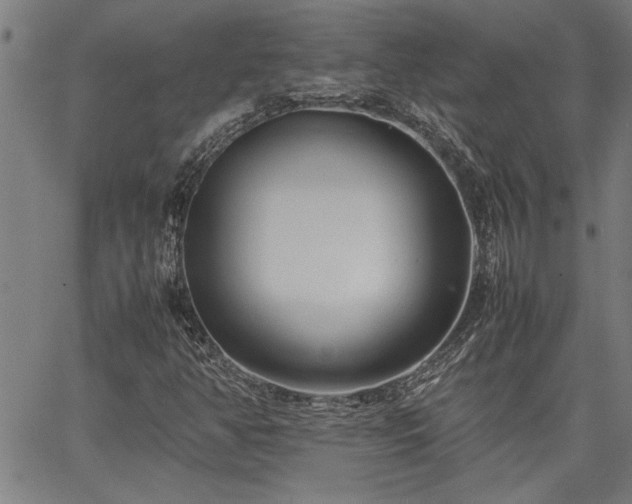 X0000067481350200604071128