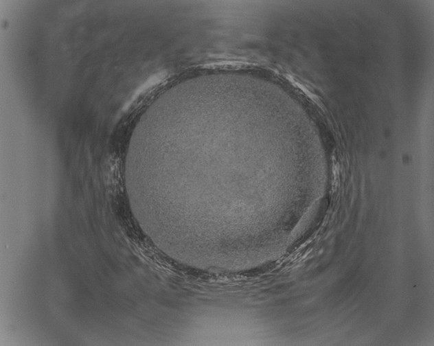 X0000067481351200604071128