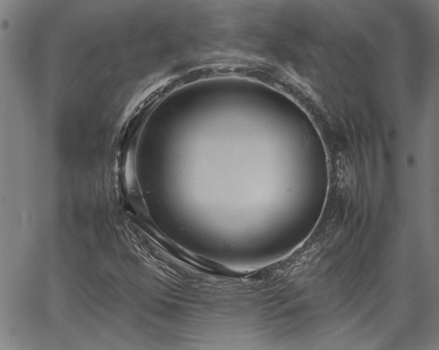 X0000067481352200604071128