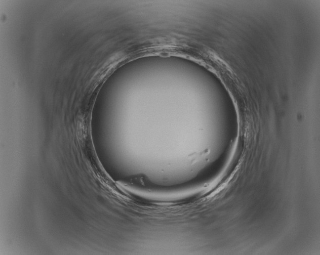 X0000067481353200604071128