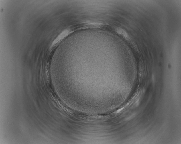 X0000067481354200604071128