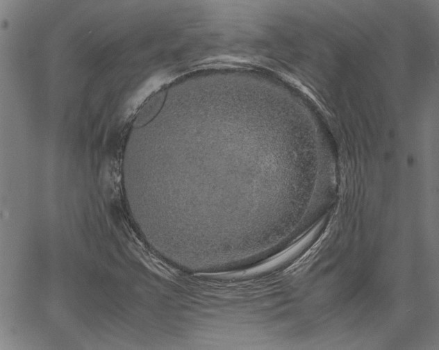 X0000067481355200604071128