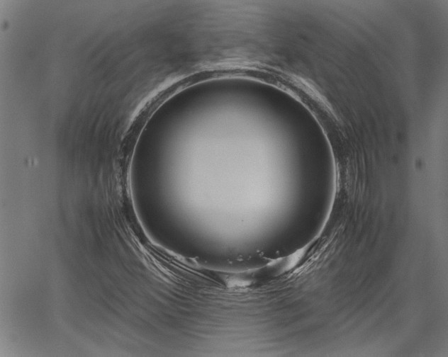 X0000067481356200604071128