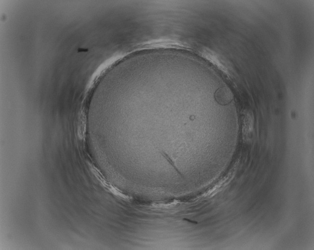 X0000067481358200604071128