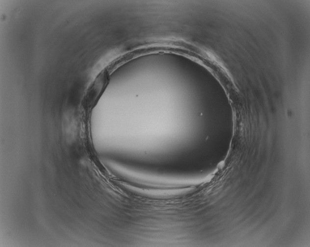 X0000067481360200604071128