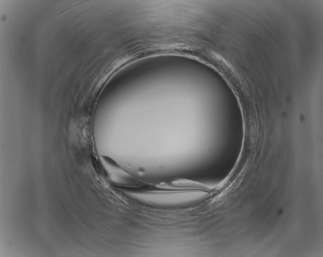 X0000067481361200604071128