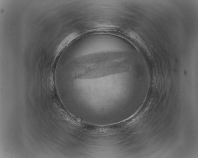 X0000067481362200604071128