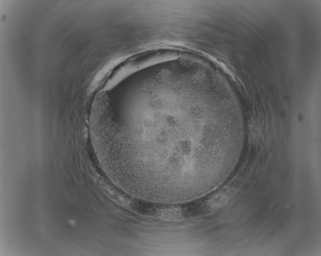 X0000067481363200604071128