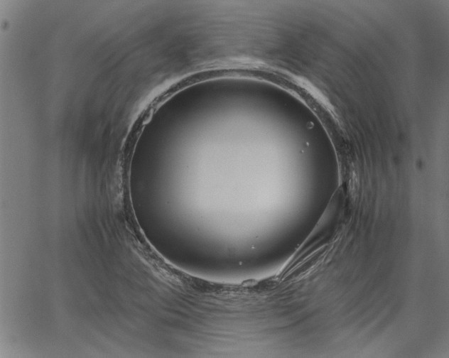 X0000067481364200604071128