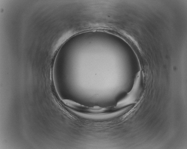 X0000067481365200604071128