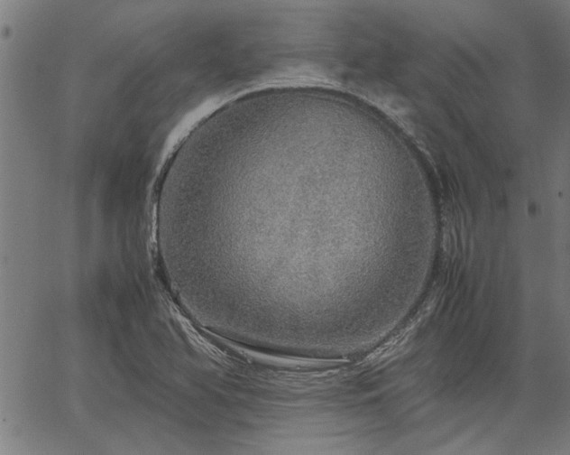 X0000067481366200604071128