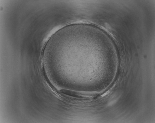 X0000067481367200604071128