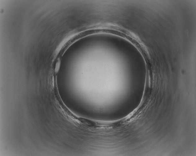 X0000067481368200604071128