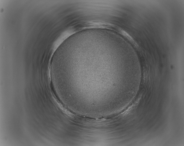 X0000067481370200604071128