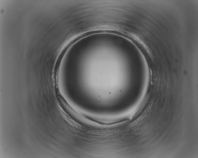 X0000067481372200604071128