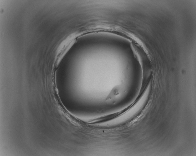 X0000067481373200604071128