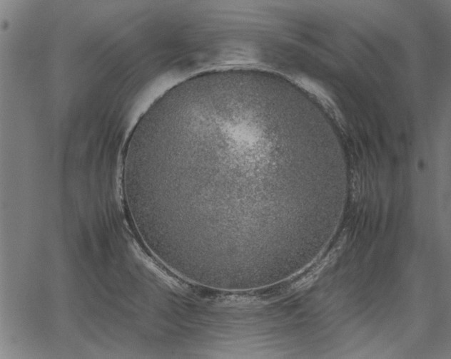 X0000067481374200604071128