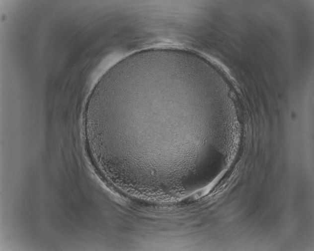 X0000067481375200604071128