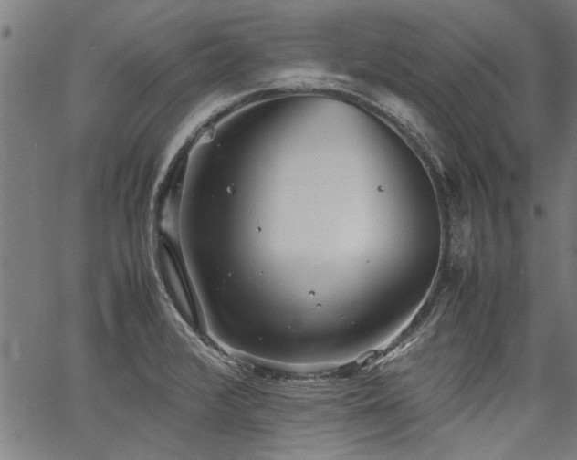 X0000067481376200604071128