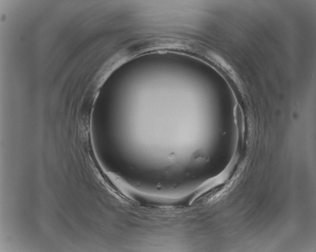 X0000067481377200604071128