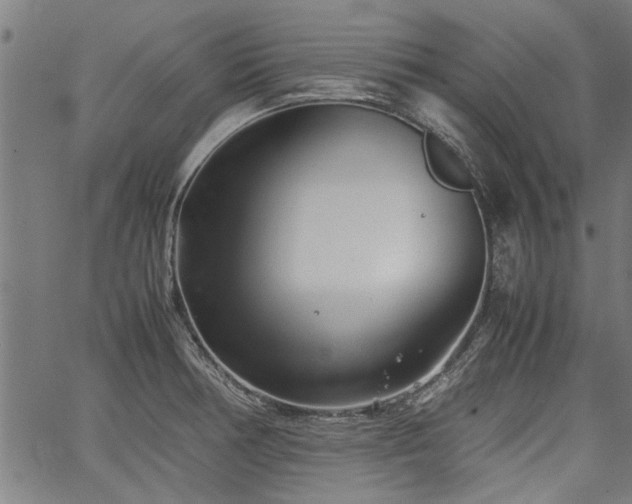 X0000067481378200604071128