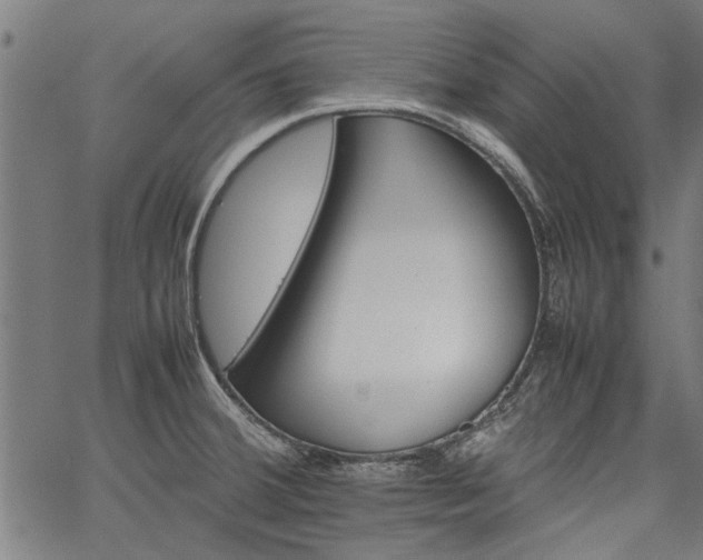 X0000067481380200604071128