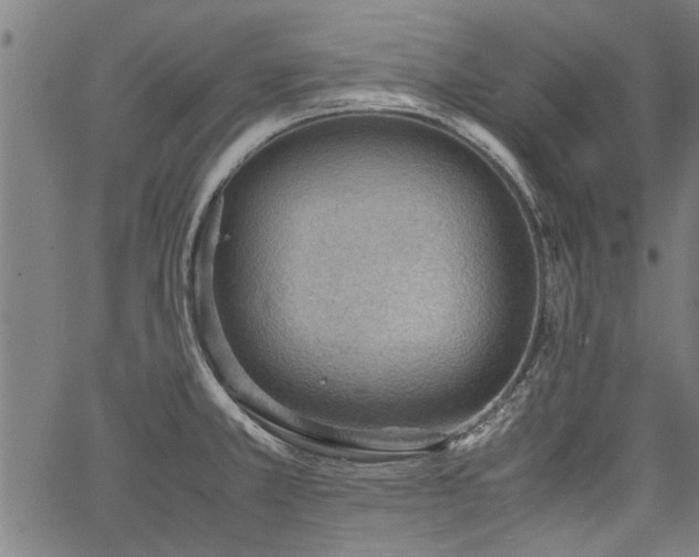 X0000067481381200604071128