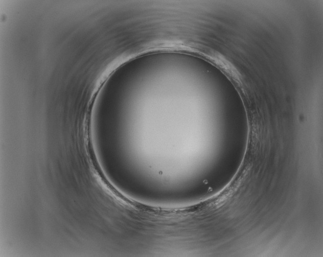 X0000067481382200604071128