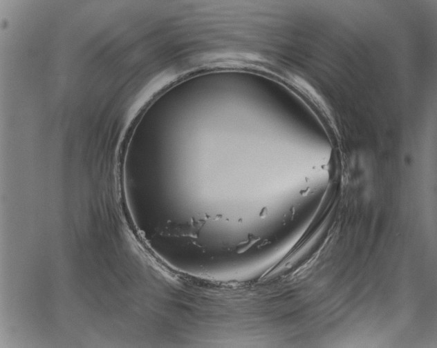 X0000067481384200604071128