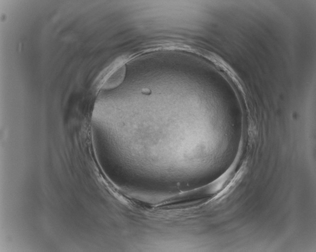 X0000067481385200604071128