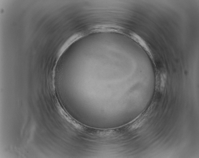 X0000067481386200604071128