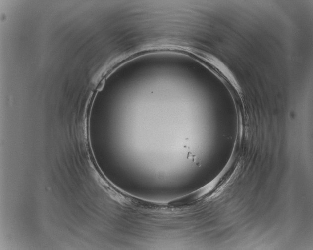 X0000067481388200604071128