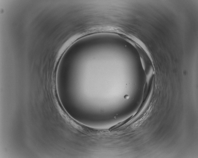 X0000067481389200604071128