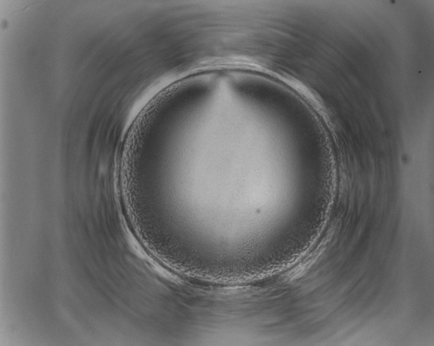 X0000067481390200604071128