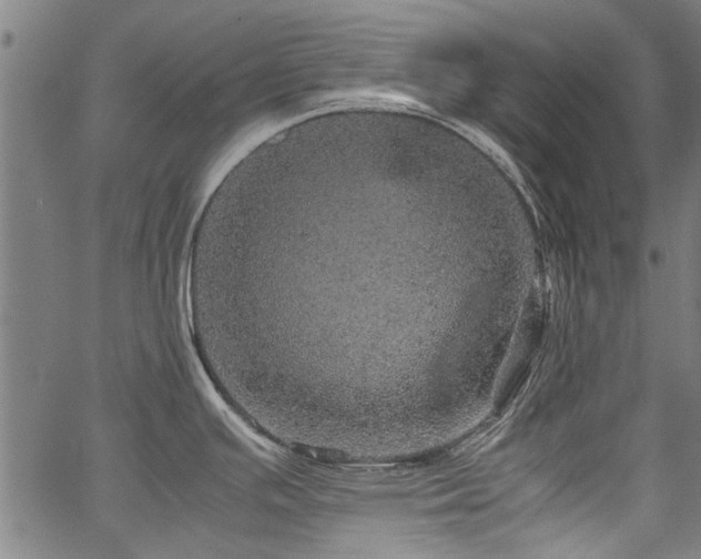 X0000067481391200604071128