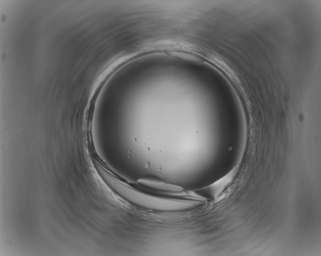 X0000067481392200604071128