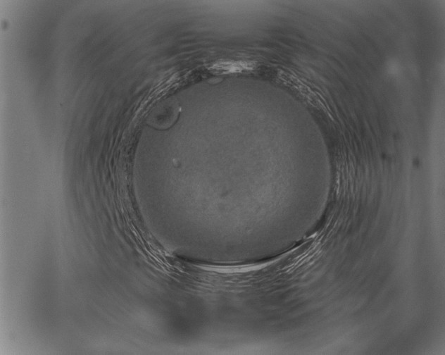 X0000067481393200604071127