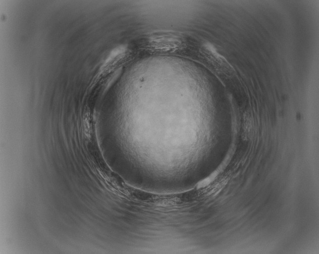 X0000067481394200604071127