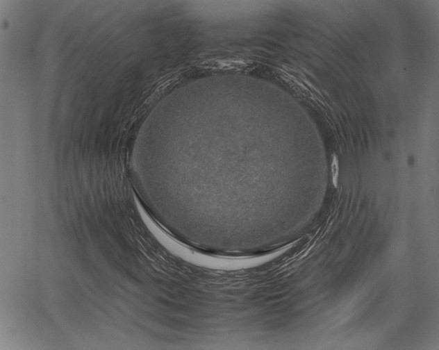 X0000067481395200604071127