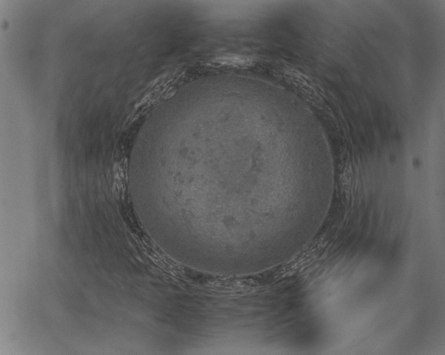 X0000067481397200604071127