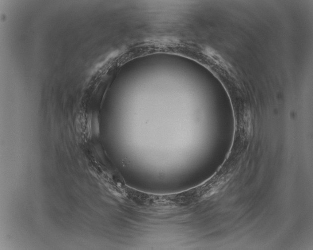 X0000067481398200604071127