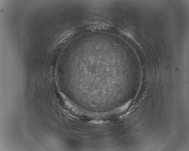 X0000067481399200604071127