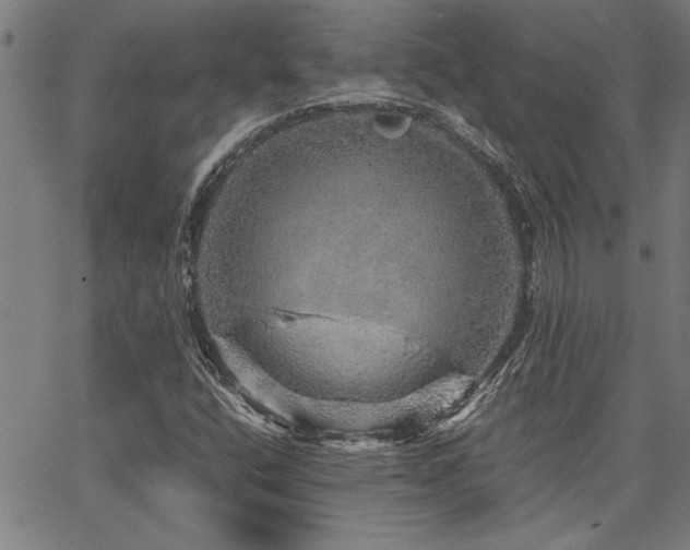 X0000067481400200604071127