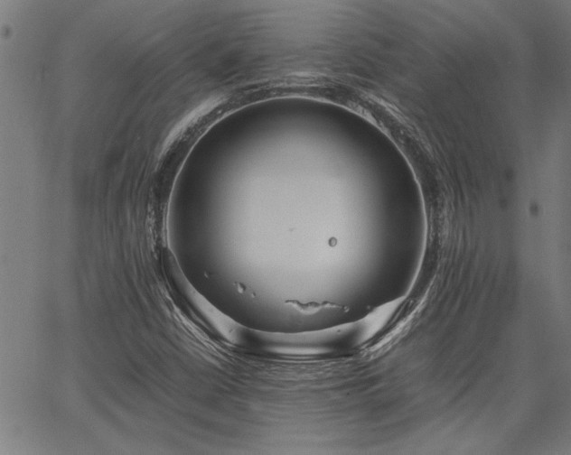 X0000067481402200604071127