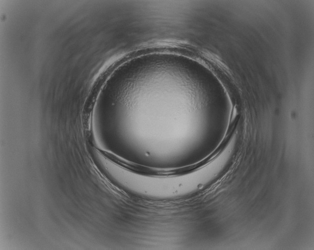 X0000067481404200604071127