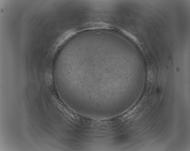 X0000067481407200604071127