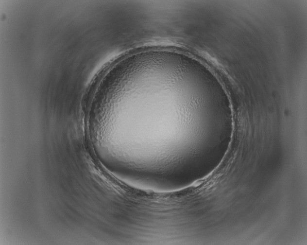 X0000067481408200604071127