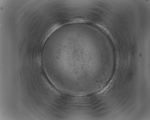 X0000067481409200604071127