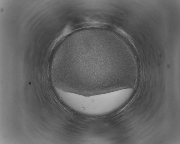 X0000067481411200604071127