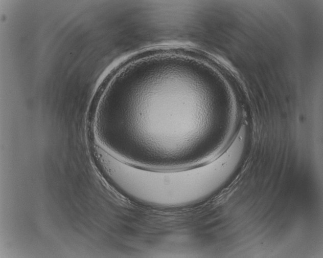 X0000067481412200604071127